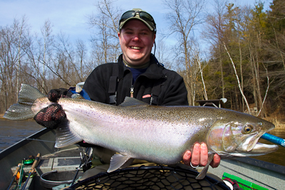muskegon river steelhead